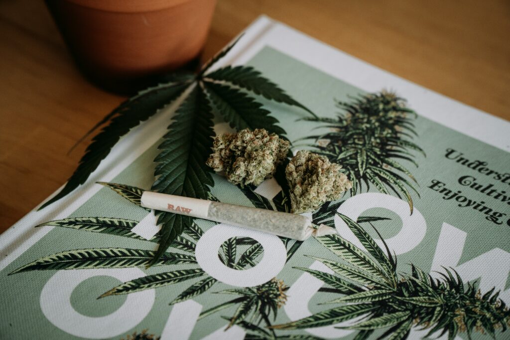 Cannabis as a Tourist in Jamaica