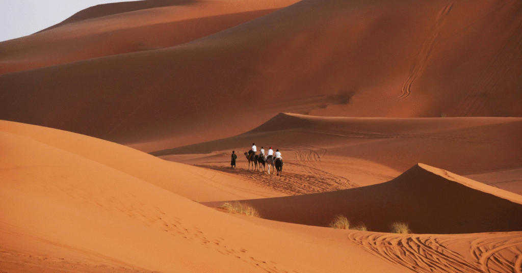 Safari destination