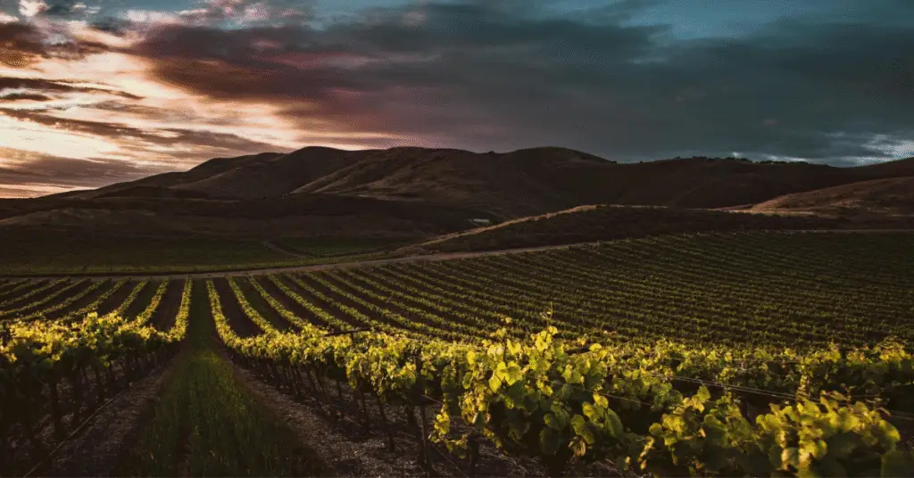 Sunset over Arrington Vineyards, Day Trips from Nashville