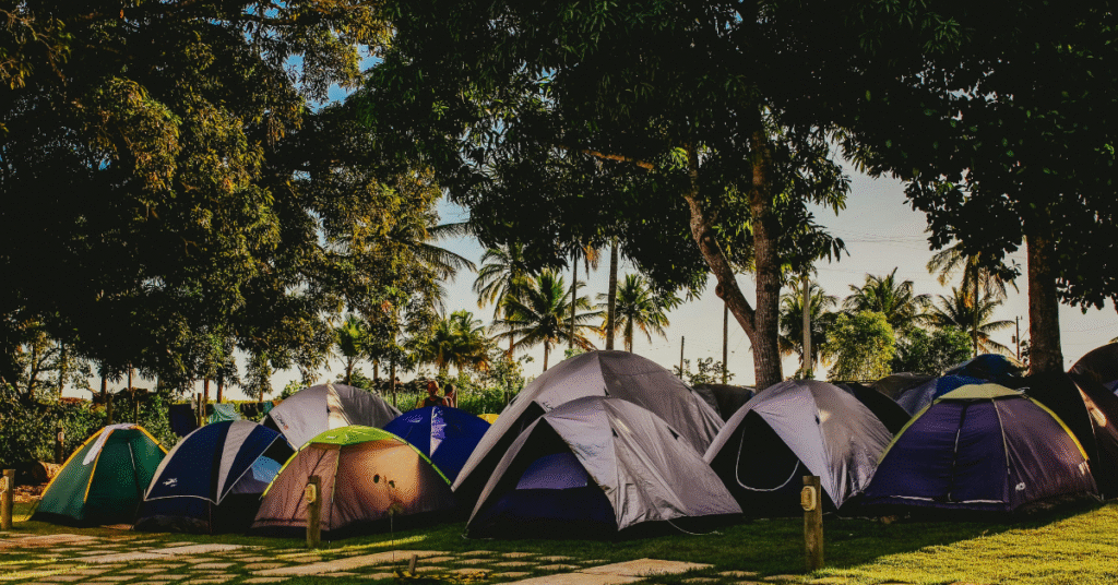 Photo of Bahia Honda campsite with tents and palm trees