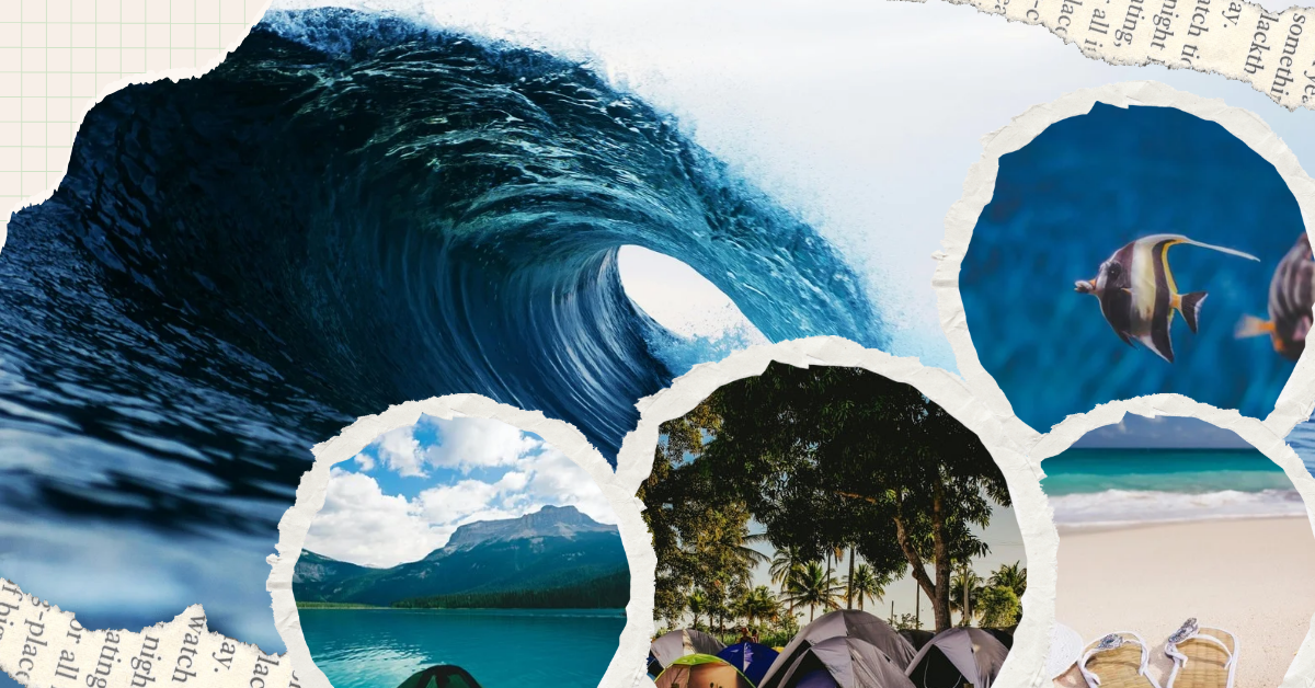 Discover the Beauty of Bahia Honda State Park Today!